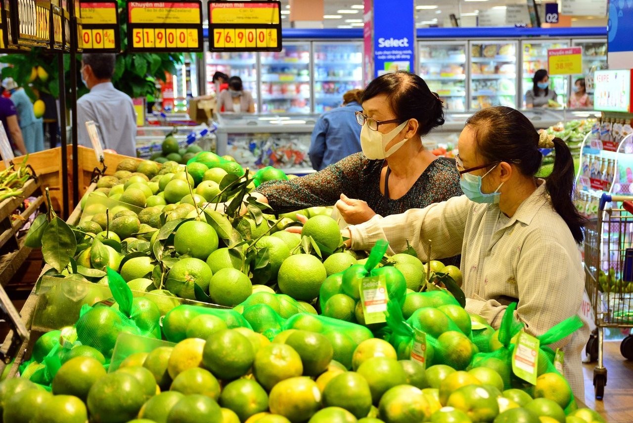 Vietnamese green-skinned pomelos were officially licensed for export to the US, becoming the seventh Vietnamese fruit to penetrate this market Vietnamese green-skinned pomelos were officially licensed for export to the US, becoming the seventh Vietnamese fruit to penetrate this market