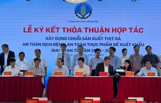 Develop disease-free livestock production chains and areas