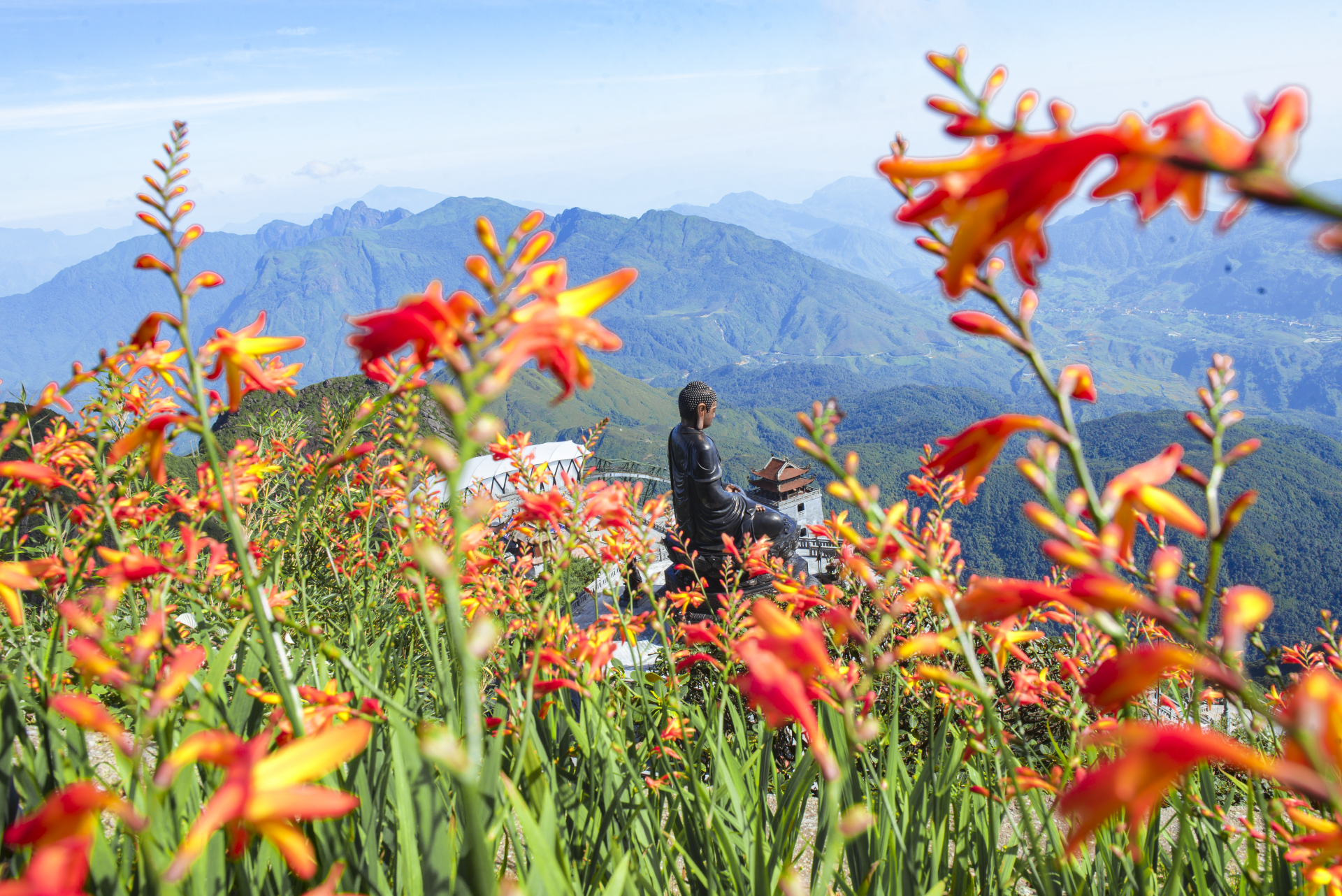 The crocosmia flowers field in Sun World Fansipan Legend The crocosmia flowers field in Sun World Fansipan Legend