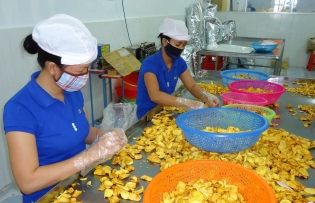 Dong Nai Province speeds up industrial development