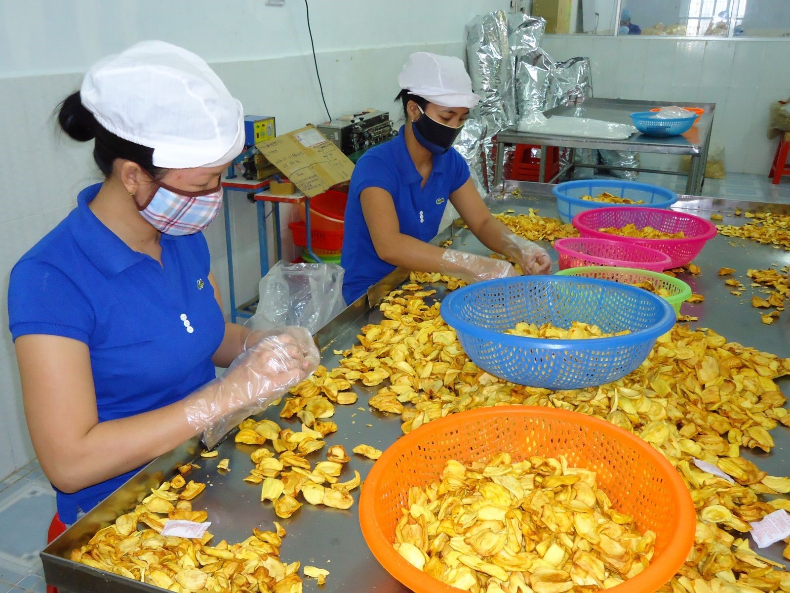 Dried jackfruit production at Thuan Huong Production & Trading Co., Ltd. in Dong Nai Province’s Dinh Quan District