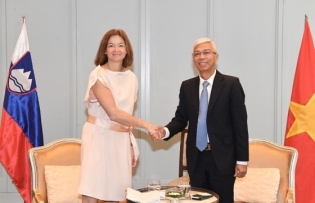 Ample opportunity for Việt Nam-Slovenia trade, investment