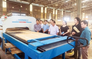 Binh Duong promotes role of industry promotion collaborators