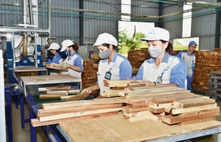 Industrial projects attract large reciprocal capital