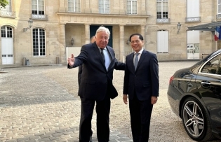 Việt Nam attaches importance to comprehensive relations with France FM