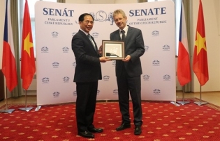 Việt Nam treasures friendship, comprehensive cooperation with Czech Republic FM