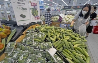 High quality products with clear origins attract consumers