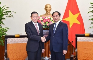 Việt Nam-Thailand enhanced strategic partnership develops strongly FM