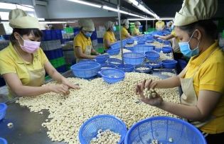 Opportunity for export to Hungarian market