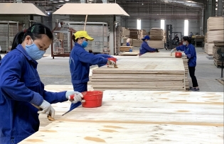 Bac Kan Province: Industrial projects face difficulties