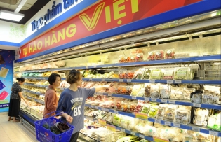 Domestic market development is crucial