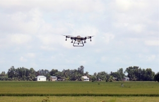 Hà Nội moves toward hi-tech agricultural production