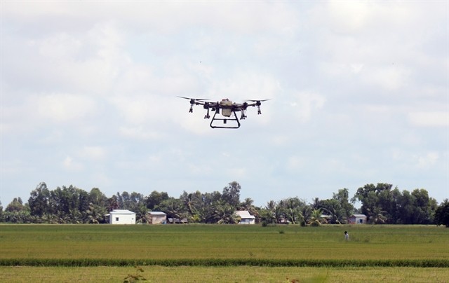 Hà Nội’s farmers are using unmanned aerial vehicles to spray pesticides and plant rice to reduce costs and maximise profits. Photo courtesy of the city's Department of Agriculture and Rural Development
