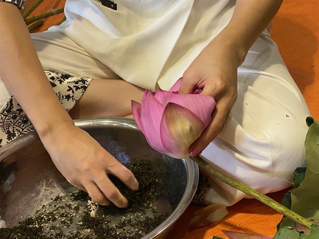Dried tea leaves mixed with lotus anthers are put inside the lotus bloom. VNS Photo Lê Hương Dried tea leaves mixed with lotus anthers are put inside the lotus bloom. VNS Photo Lê Hương