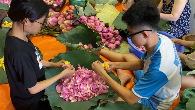 The process uses up all parts of the lotus. VNS Photo Nhật Hồng The process uses up all parts of the lotus. VNS Photo Nhật Hồng