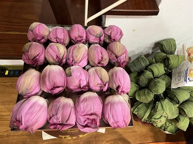 Lotus blooms with tea inside are ready for drying. Photo Courtesy of Trần Thu Thủy Lotus blooms with tea inside are ready for drying. Photo Courtesy of Trần Thu Thủy