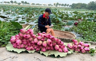 Lotus scented tea – a special treat for guests