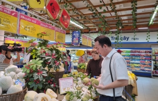 Traditional retail channels prevail