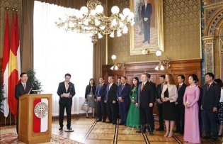President asks Vienna to cooperate with Vietnamese localities