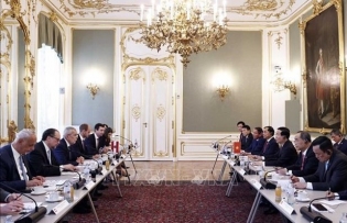 Vietnamese, Austrian Presidents hold talks