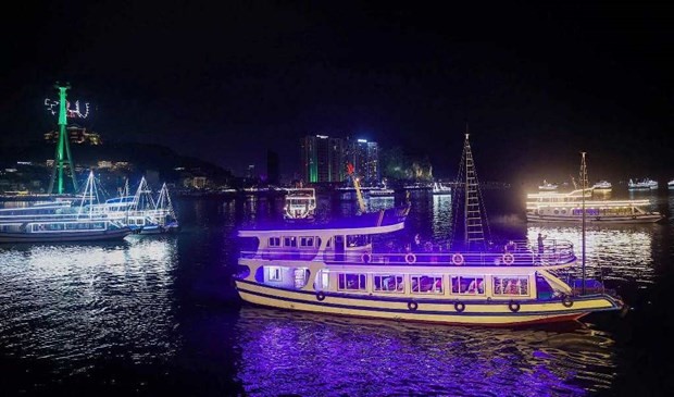 Cruises in Hạ Long Bay at night. — VNA/VNS Photo Cruises in Hạ Long Bay at night. — VNA/VNS Photo