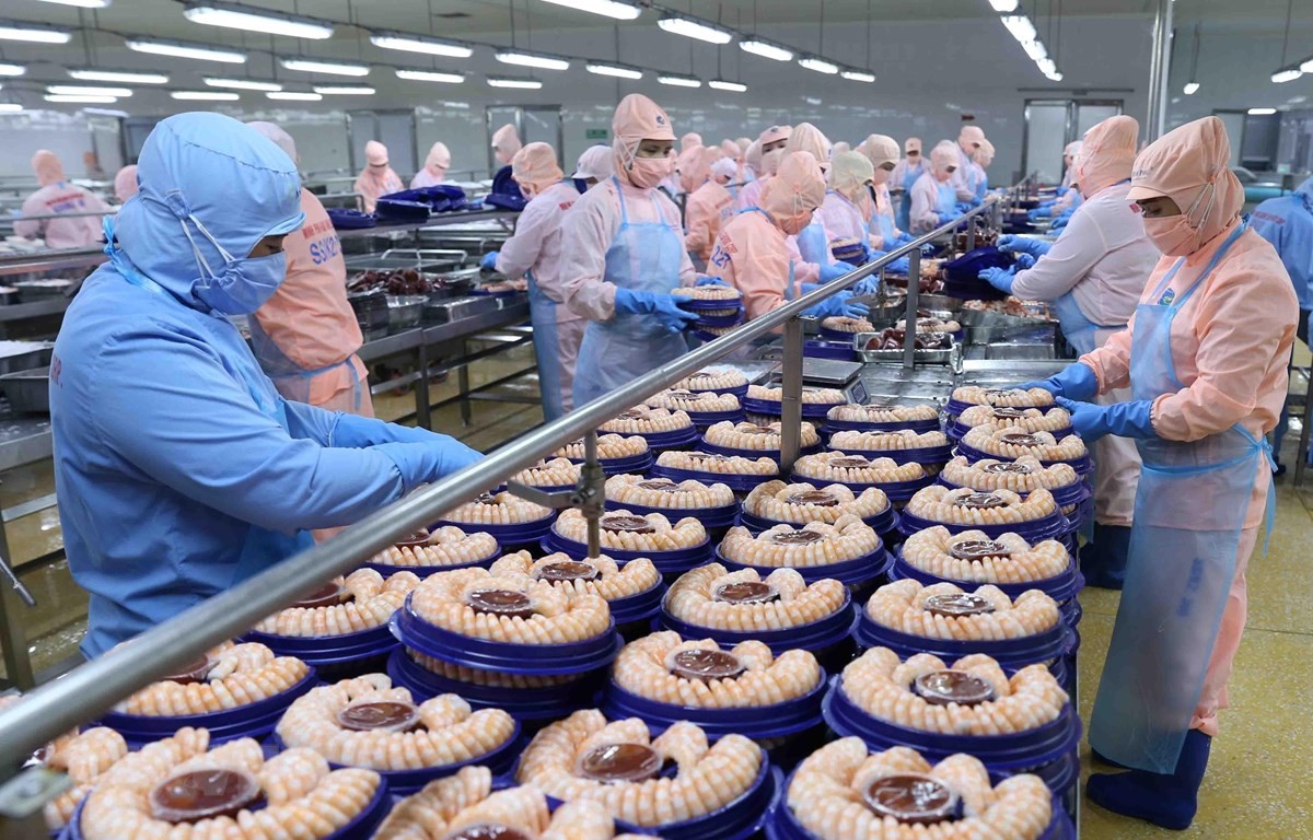 Export shrimp processing facilities comply with import markets’ strict regulations on food safety and hygiene