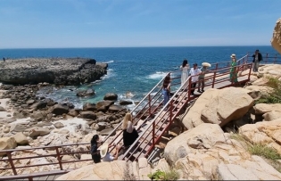 Núi Chúa World Biosphere Reserve attract tourists with its diverse ecosystems