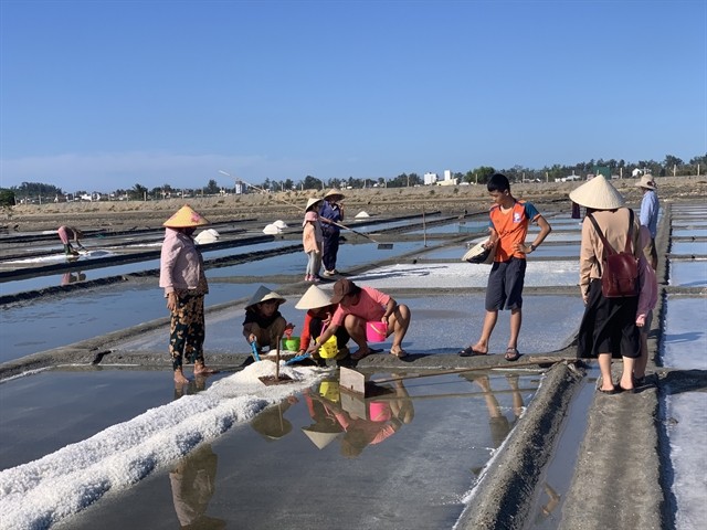 MAKING SALT: Tourists explore salt making with local farmers on the Sa Huỳnh salt fields. — Photo courtesy of SAHU MAKING SALT: Tourists explore salt making with local farmers on the Sa Huỳnh salt fields. — Photo courtesy of SAHU