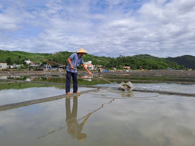 INSPECTION: A farmer checks the quality of seawater in a process of salt crystalising in Đức Phổ Town of Quảng Ngãi Province. — VNS Photo Công Thành INSPECTION: A farmer checks the quality of seawater in a process of salt crystalising in Đức Phổ Town of Quảng Ngãi Province. — VNS Photo Công Thành