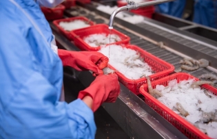 EVFTA opens new opportunities for Vietnam’s exports