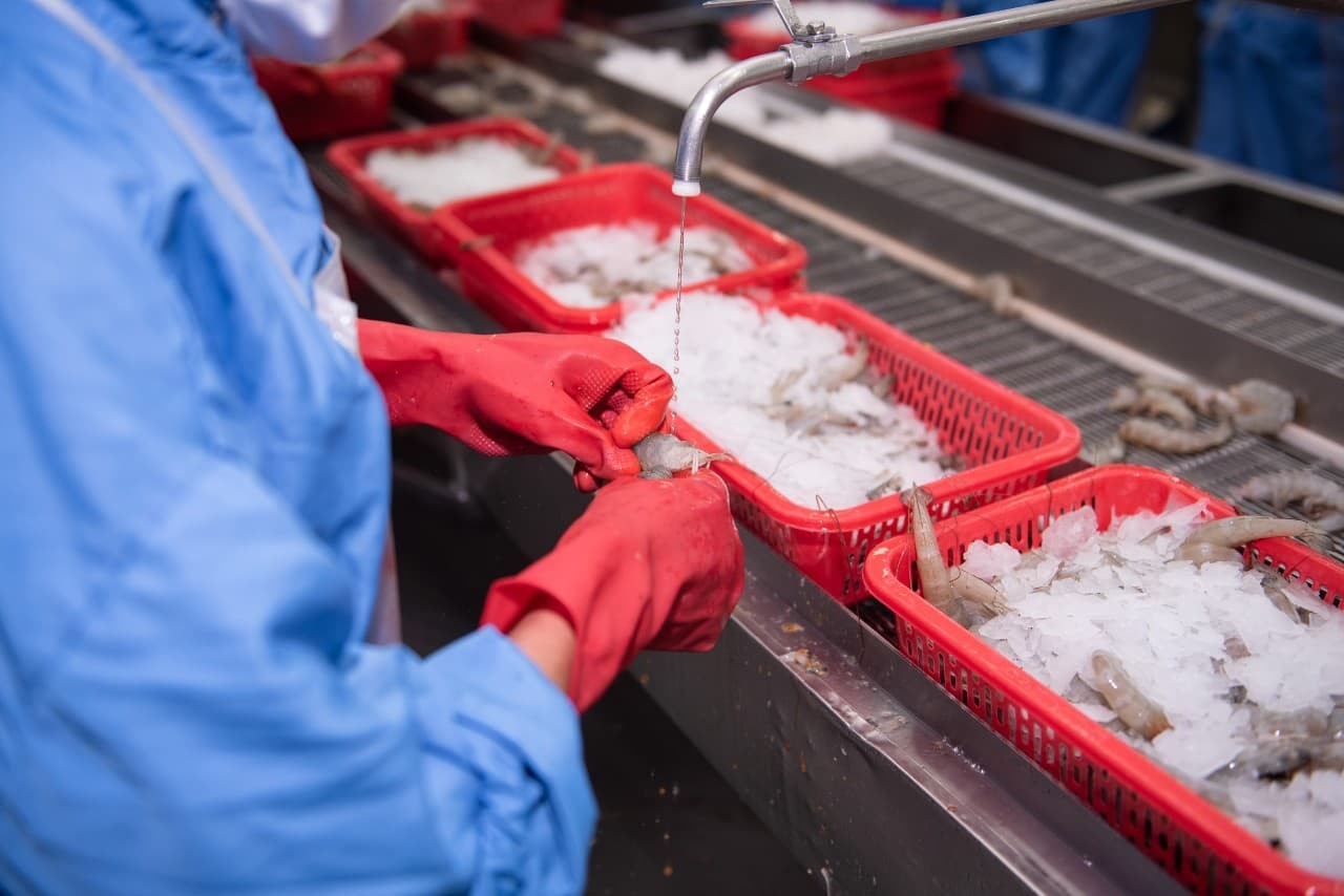 Processing seafood for export - photo: VNA Processing seafood for export - photo: VNA