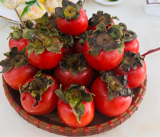 Persimmon is among the favourite fruits offered during the festival. — Photo nhahangbeca.com Persimmon is among the favourite fruits offered during the festival. — Photo nhahangbeca.com
