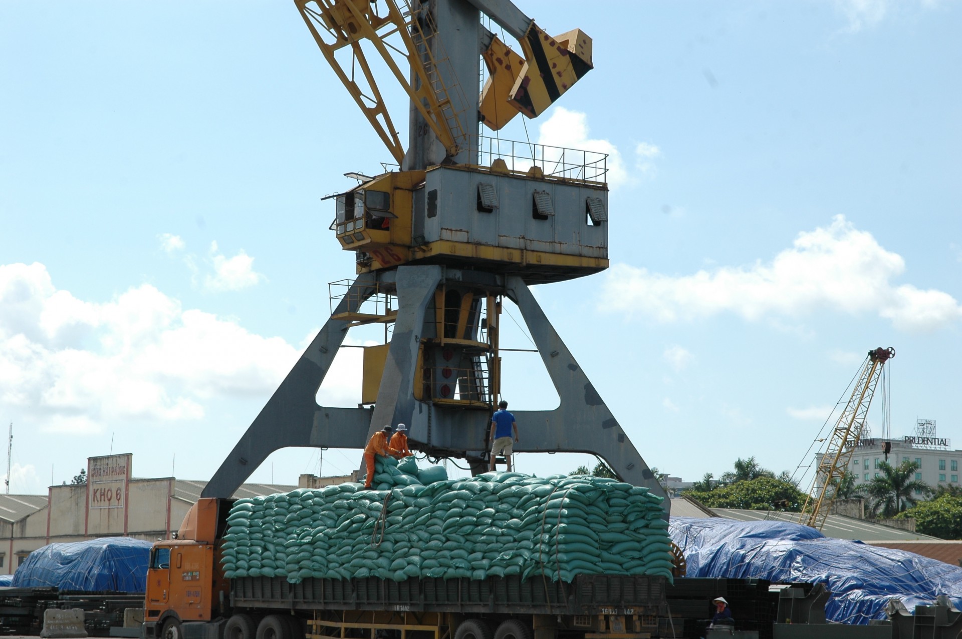 A favorable legal framework for rice export is necessary - photo: Can Dung