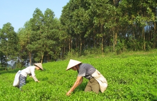 Phu Tho Province suggests policy improvement