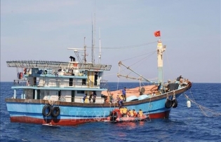 Phu Yen province – bright spot in IUU fishing combat