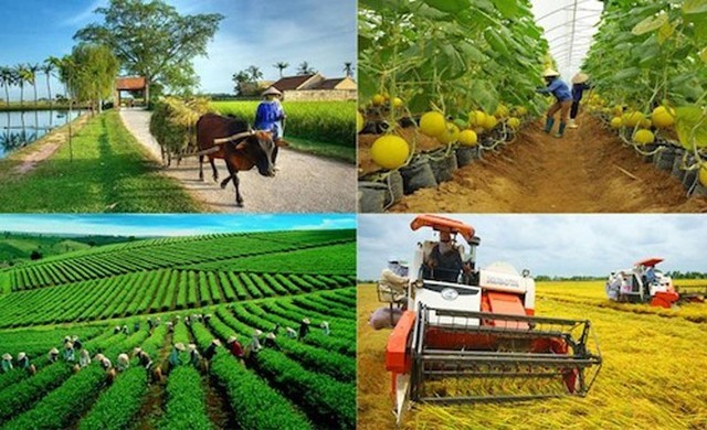 Draft Rural Economic Development Plan Development strategy of rural occupations and economic development approved