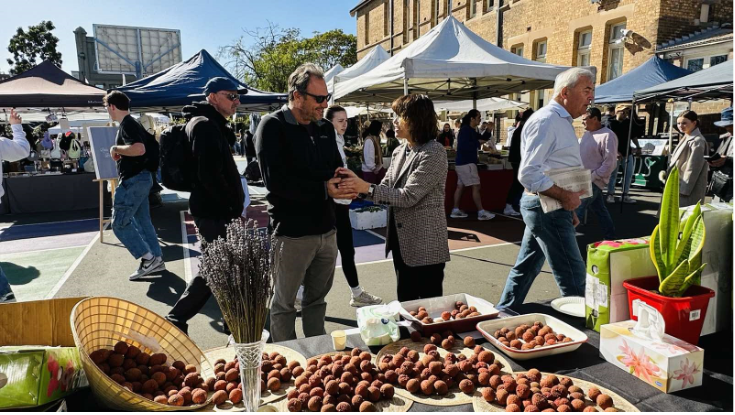 A “Try Vietnamese lychees” event launched in Sydney, Australia by the Vietnam Trade Office in Australia - photo: Vietnam Trade Office in Australia  A “Try Vietnamese lychees” event launched in Sydney, Australia by the Vietnam Trade Office in Australia - photo: Vietnam Trade Office in Australia