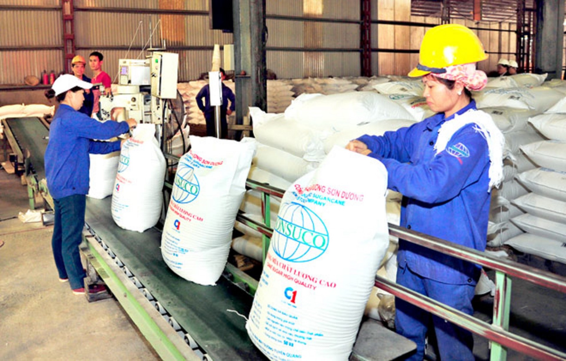 Sugar production at the Son Duong Sugar and Sugarcane Joint Stock Company