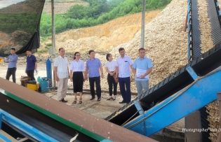 Practical support  for finger joint wood production