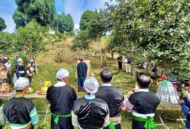 The village elderly of Mông people in Suối Giàng Commune leads the ceremony. — VNA/VNS Photo Tuấn Anh The village elderly of Mông people in Suối Giàng Commune leads the ceremony. — VNA/VNS Photo Tuấn Anh