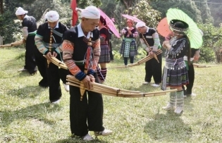 Yên Bái Province holds festival to honour ancient tea trees