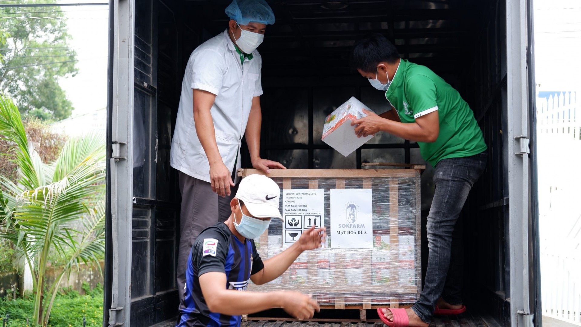 The first consignment of Tra Vinh Farm’s coconut nectar exports to Japan - photo: Tra Vinh Farm