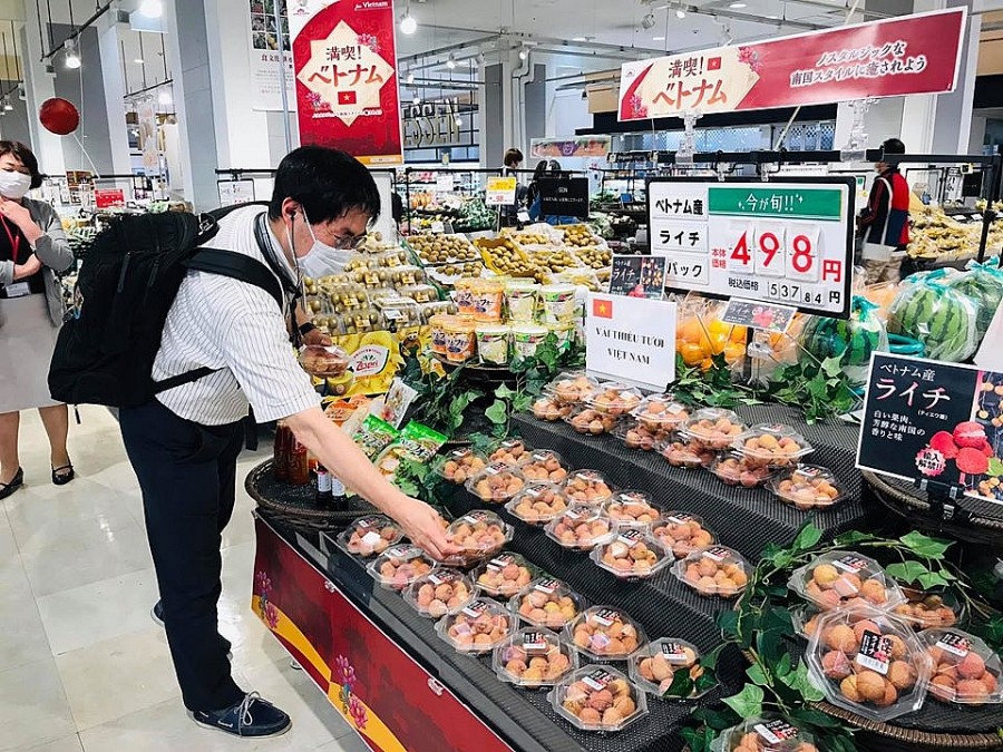 Vietnamese fresh lychees on the shelf of a Japanese supermarket