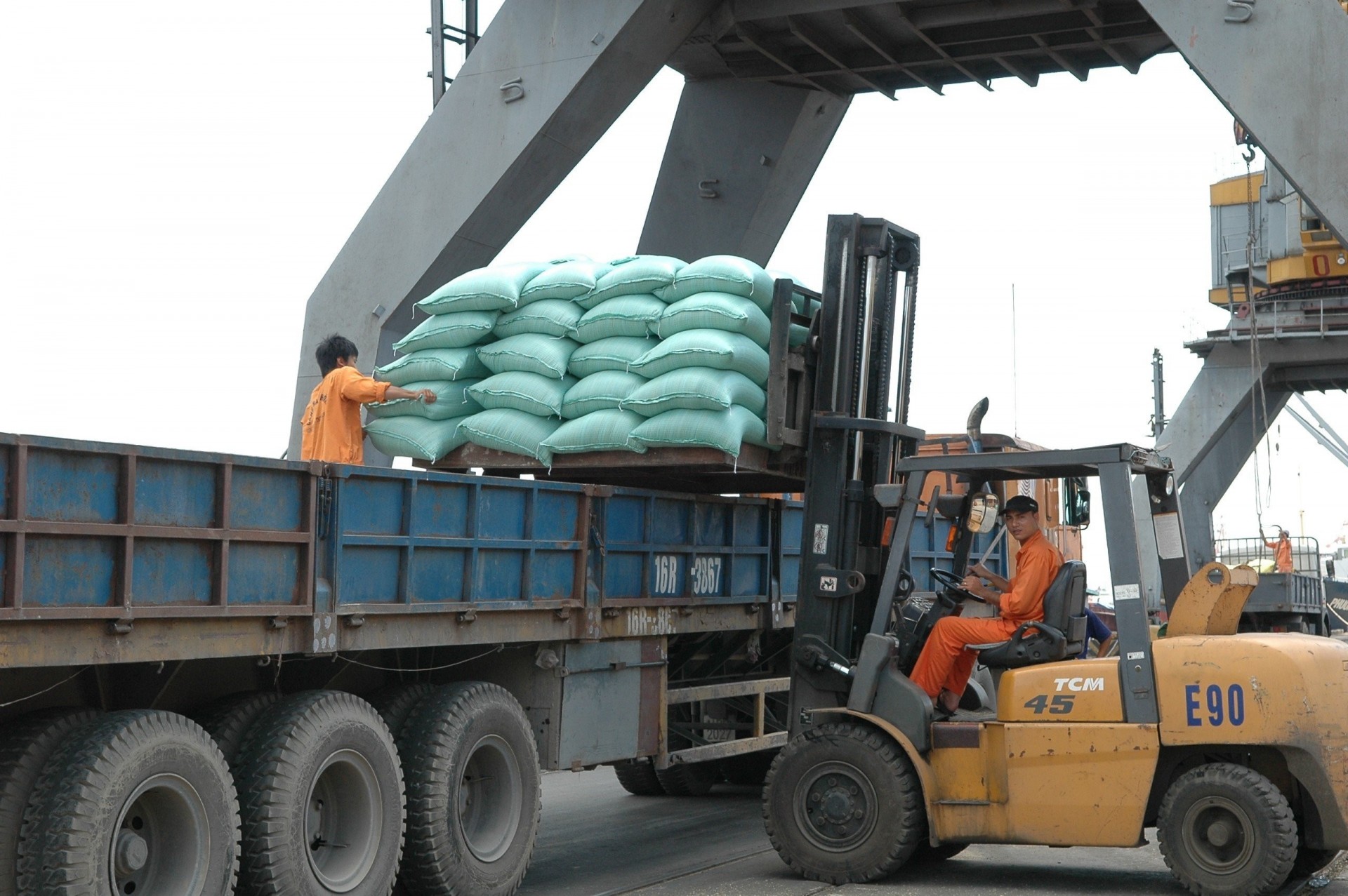 Rice exports have increased in both volume and value -  photo: Quang Hung Rice exports have increased in both volume and value -  photo: Quang Hung