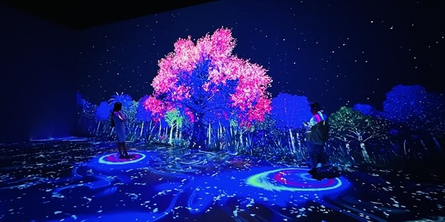 Visitors at Sốnglab in Huế City. Sốnglab will be officially opened in October, expecting to attract many visitors. — VNS Photo Thu Ngân Visitors at Sốnglab in Huế City. Sốnglab will be officially opened in October, expecting to attract many visitors. — VNS Photo Thu Ngân