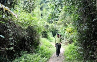 Parklife: Cúc Phương one of Asia's top national parks