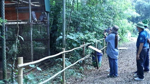 In front of each cage in CRCDC, there is an information board, including name, gender, time of rescue and number of individuals. There are various meaningful stories behind each of those names, associated with the rescue story and memories of the researchers here. VNS Photo Đoàn Tùng. In front of each cage in CRCDC, there is an information board, including name, gender, time of rescue and number of individuals. There are various meaningful stories behind each of those names, associated with the rescue story and memories of the researchers here. VNS Photo Đoàn Tùng.
