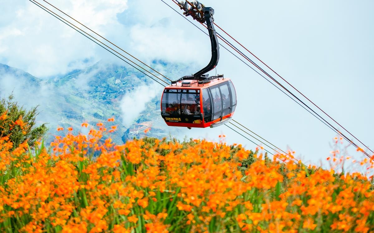 Cable car to Fansipan peak during crocosmia season Cable car to Fansipan peak during crocosmia season