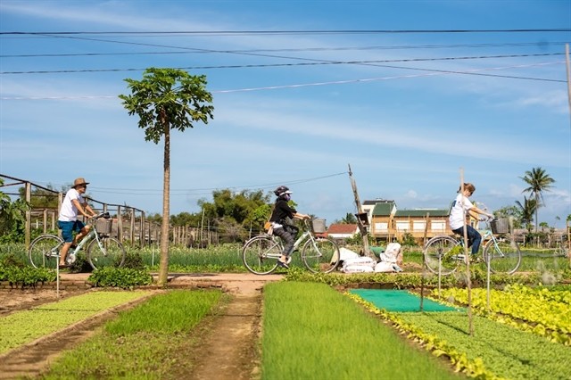 Tourists visit Trà Quế vegetable growing village in Hội An City. The garden village and herb plantation trade was recognised as a national intangible heritage. — Photo courtesy of EMIC Tourists visit Trà Quế vegetable growing village in Hội An City. The garden village and herb plantation trade was recognised as a national intangible heritage. — Photo courtesy of EMIC