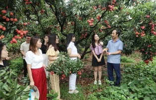 Bắc Giang – one of Việt Nam’s intriguing tourism destinations